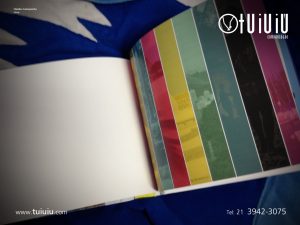 29 apresentacao tuiuiu2013 carioquinha livro6 copy - About Me