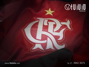 30 apresentacao tuiuiu2013 flamengo logo copy - About Me