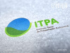 39 apresentacao tuiuiu2013 itpa logo copy - About Me